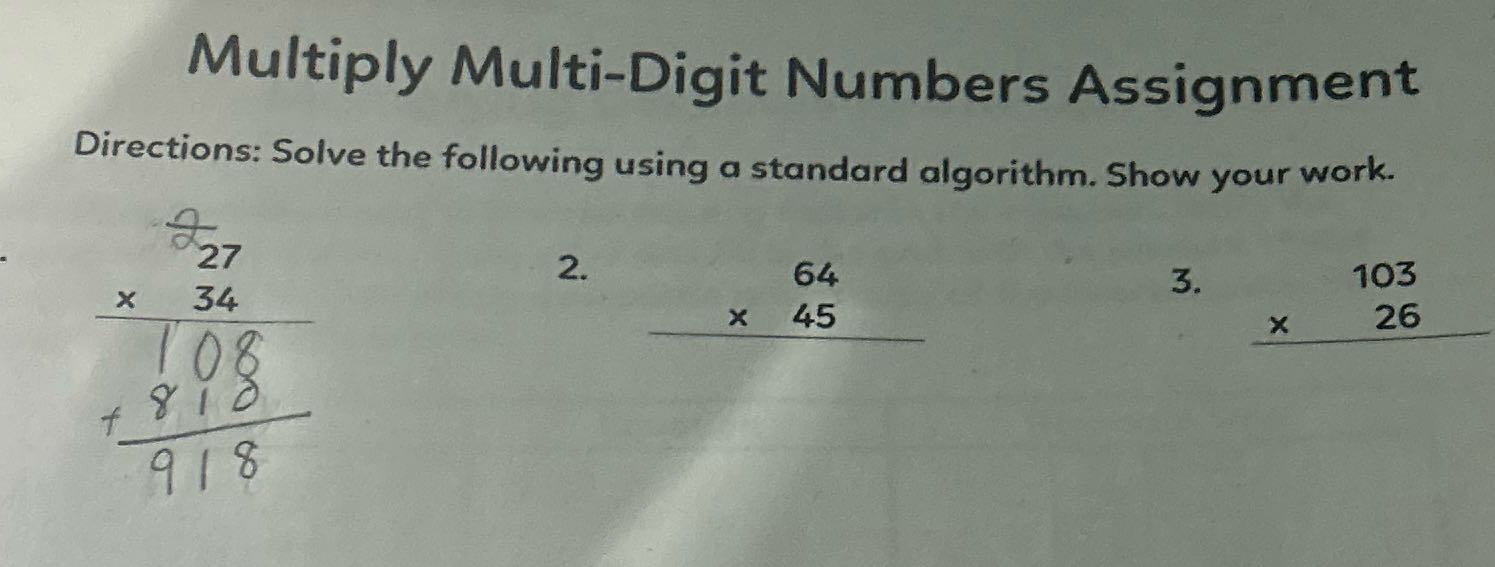 Multiply Multi-Digit Numbers Assignment