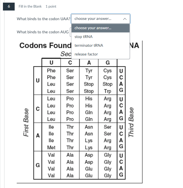 help me please 6 Fill in the Blank 1 point What