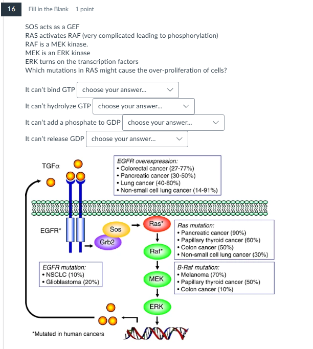 help me please 16 Fill in the Blank 1 point SOS