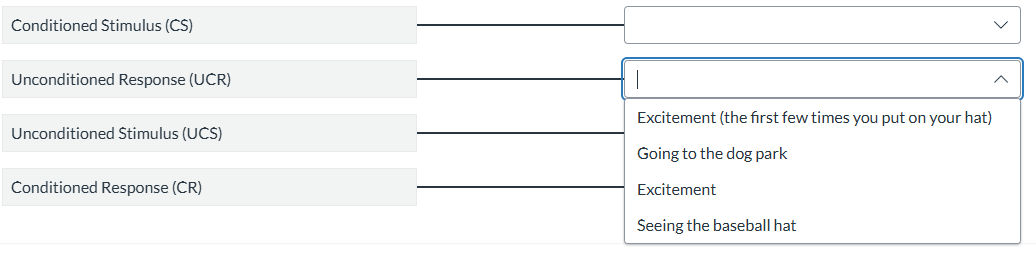 answer Conditioned Stimulus (CS) Unconditioned