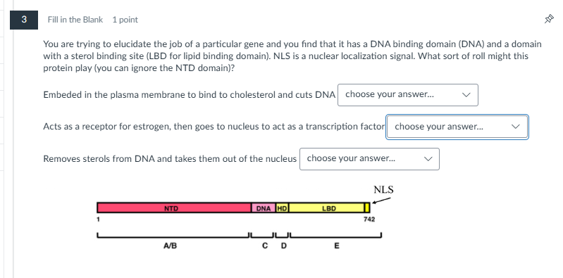 true or false 3 Fill in the Blank 1 point You are