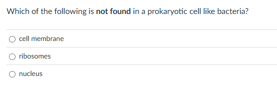 Which of the following is not found in a