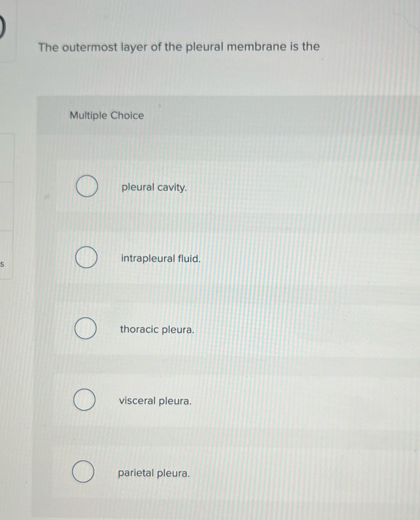 The outermost layer of the pleural membrane is