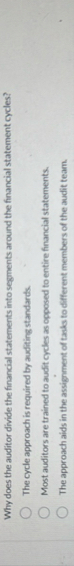 Why does the auditor divide the financial