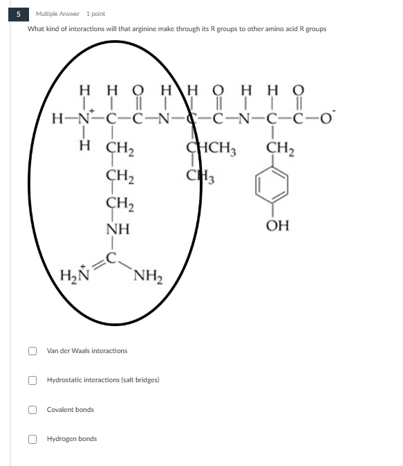 help me please 5 Multiple Answer 1 point What