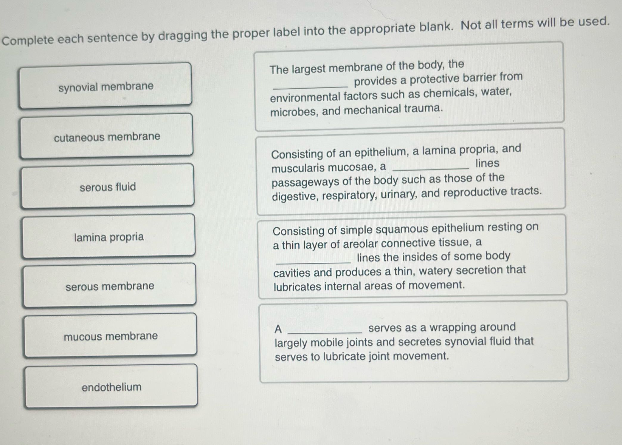 Complete each sentence by dragging the proper