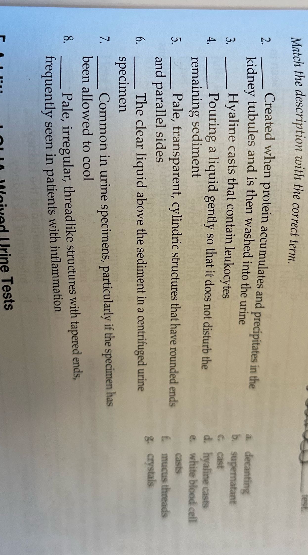 Match the description with the correct term.