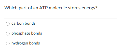 solve Which part of an ATP molecule stores