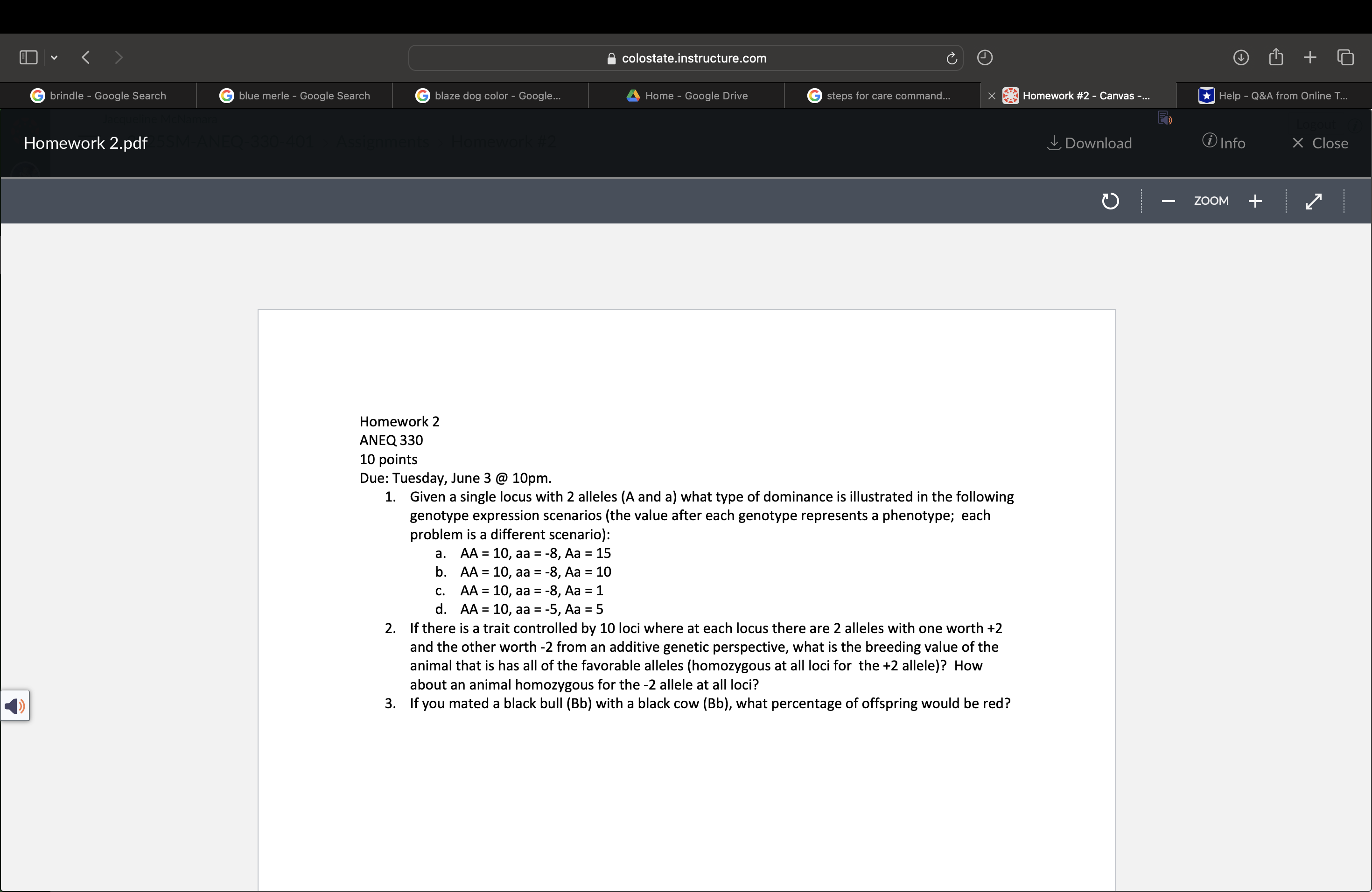 < colostate.instructure.com + brindle - Google