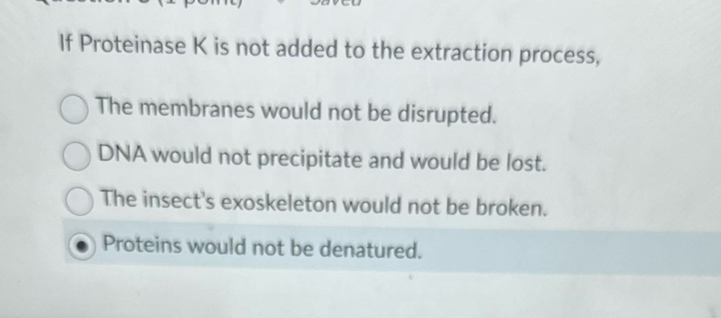 If Proteinase K is not added to the extraction