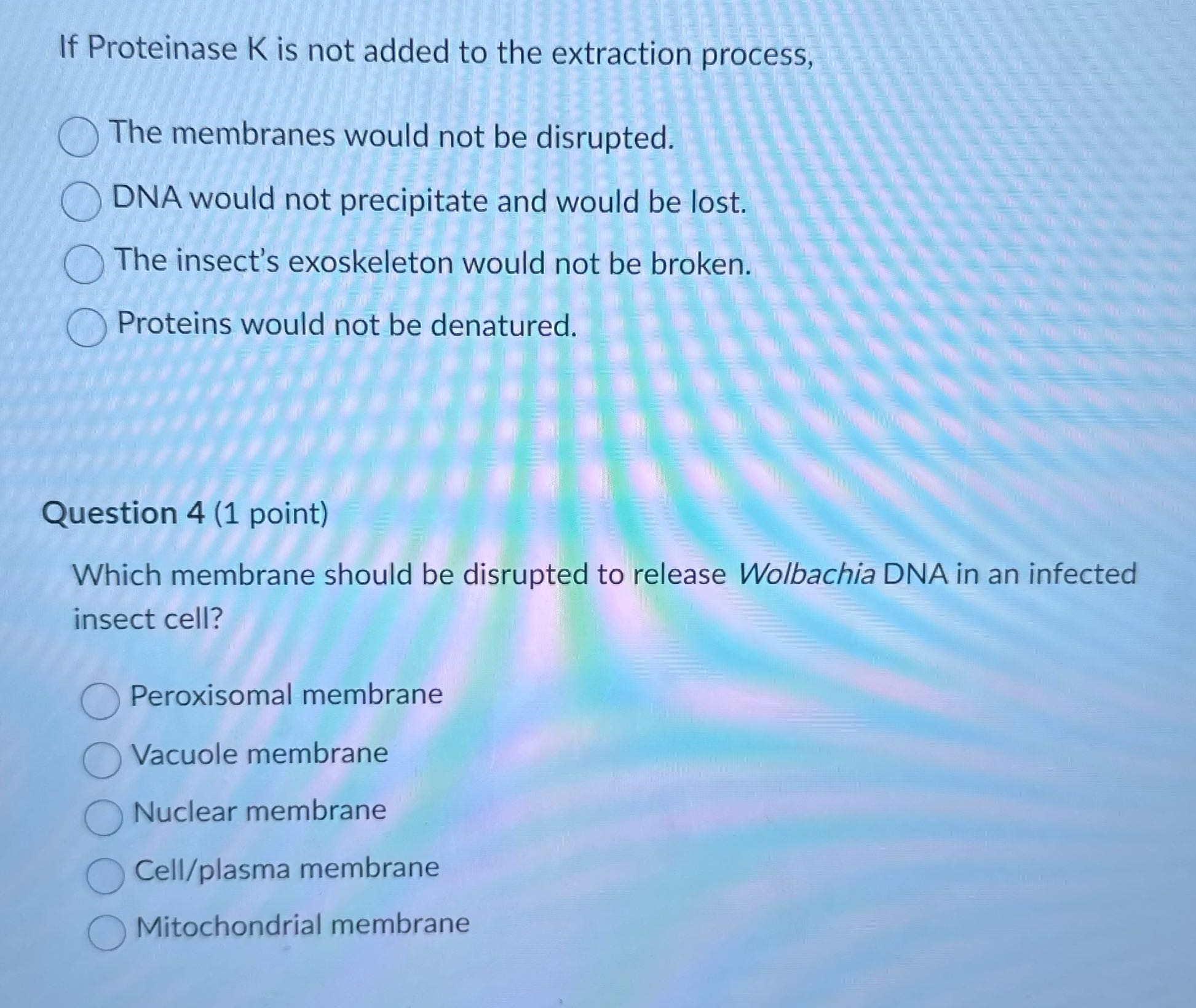 Answer If Proteinase K is not added to the