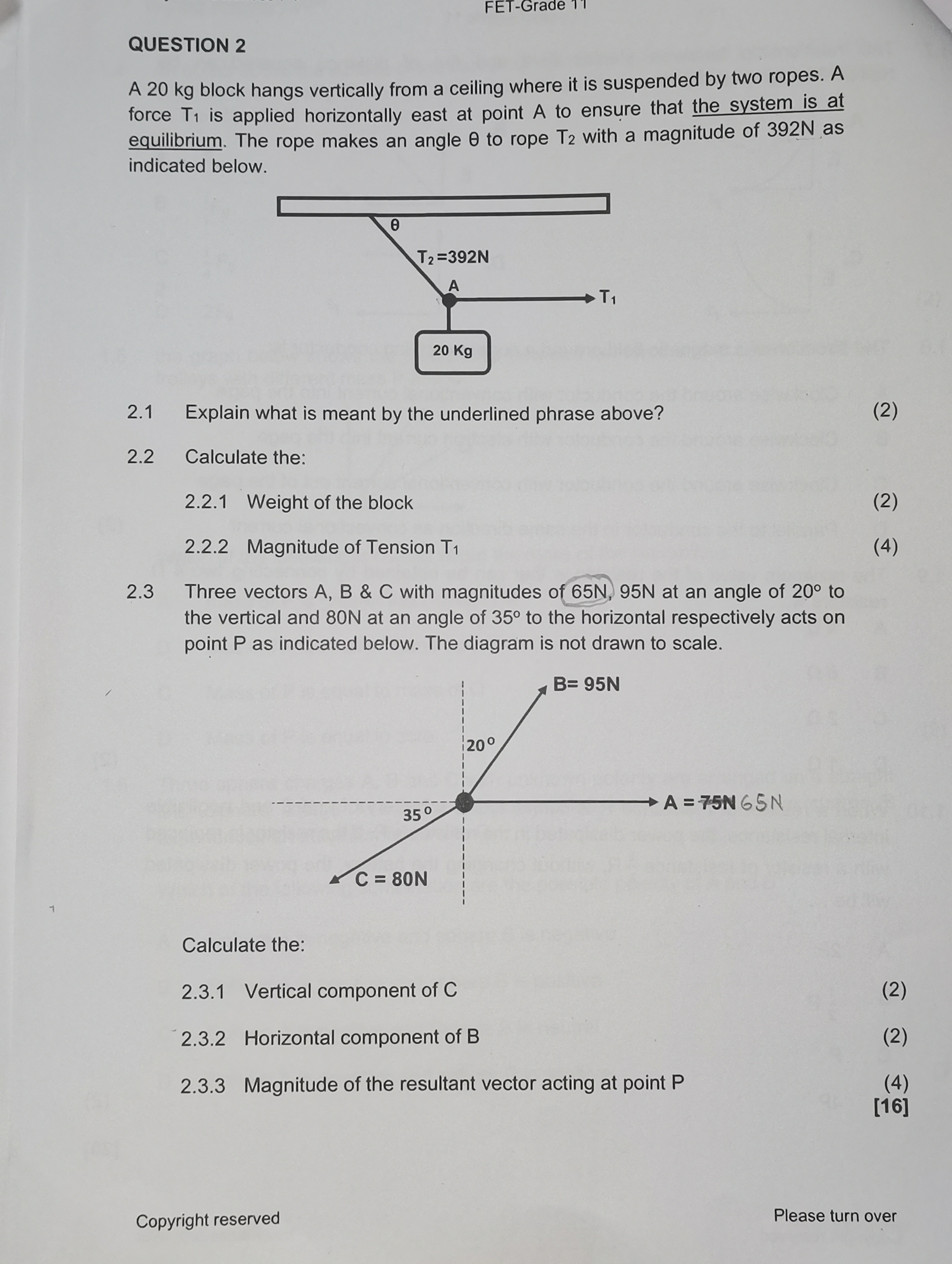 FET-Grade 1 QUESTION 2 A 20 kg block hangs