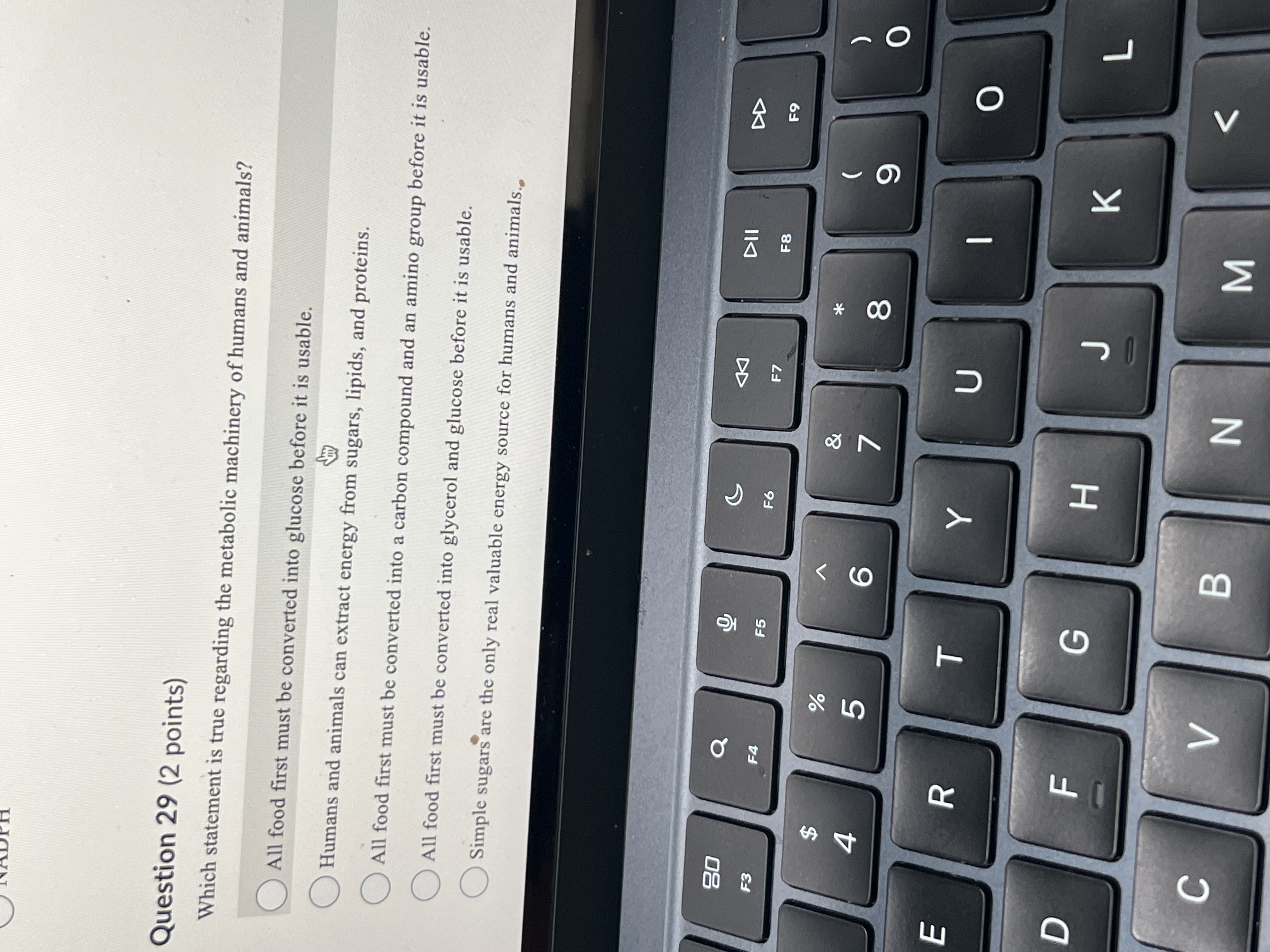 Question 29 (2 points) Which statement is true