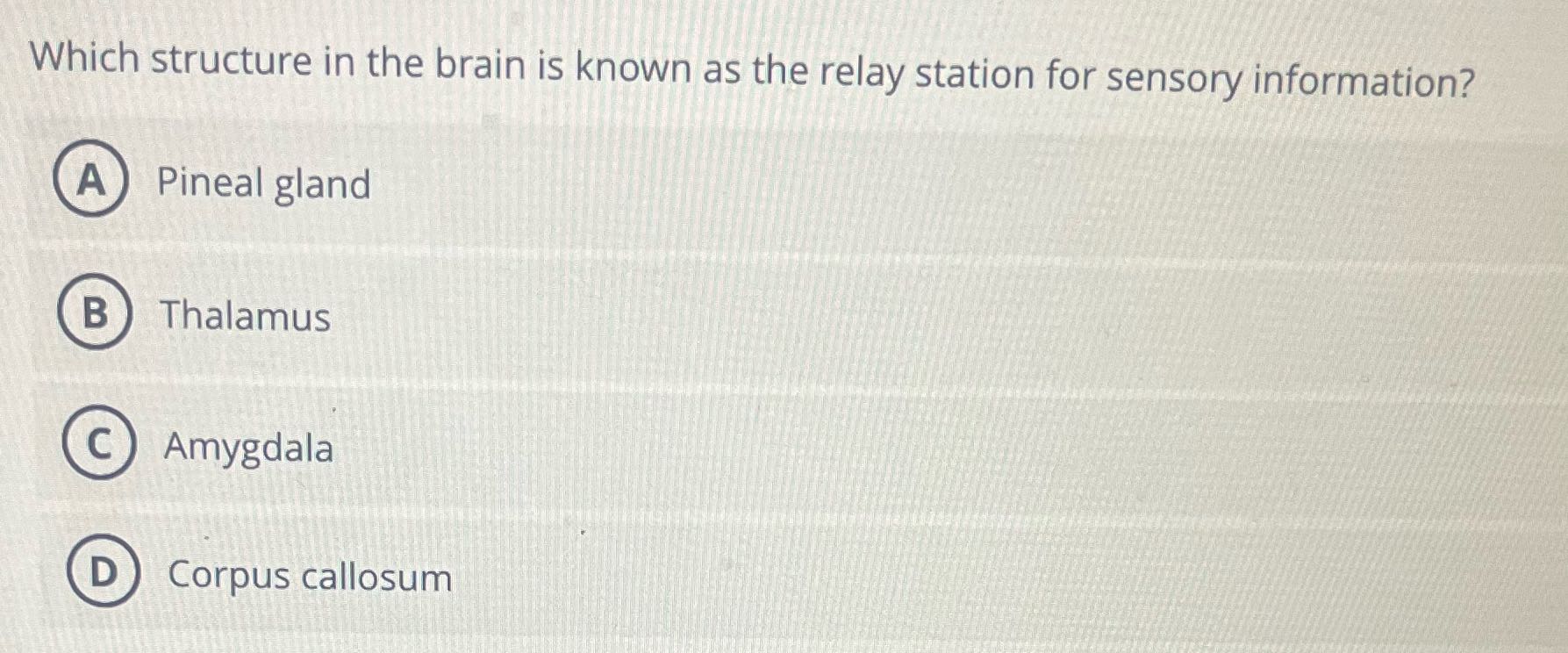 Which structure in the brain is known as the