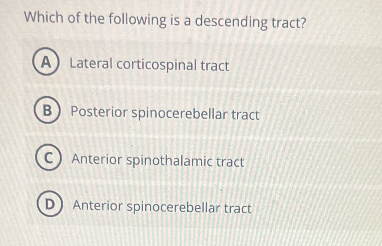 Which of the following is a descending tract? A
