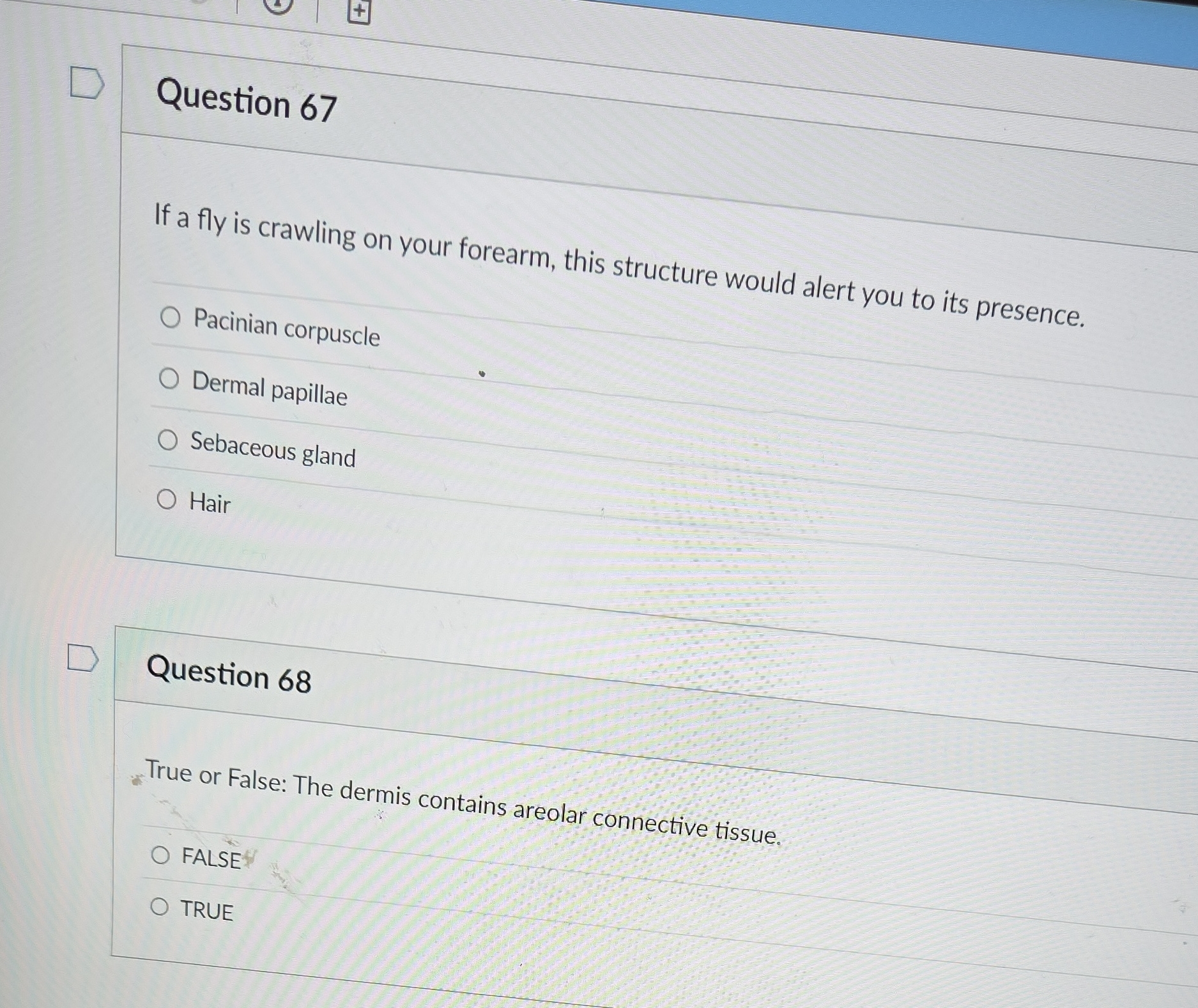 + D Question 67 If a fly is crawling on your