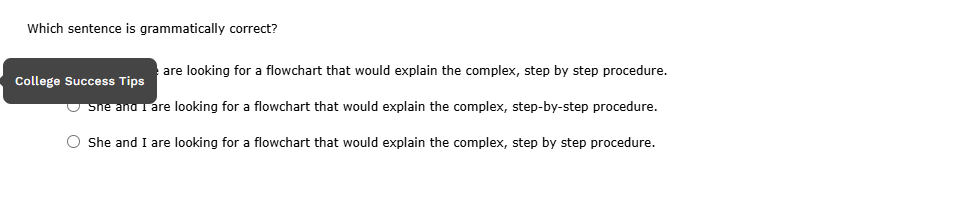 solve Which sentence is grammatically correct?