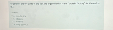 Organelles are the parts of the cell, the