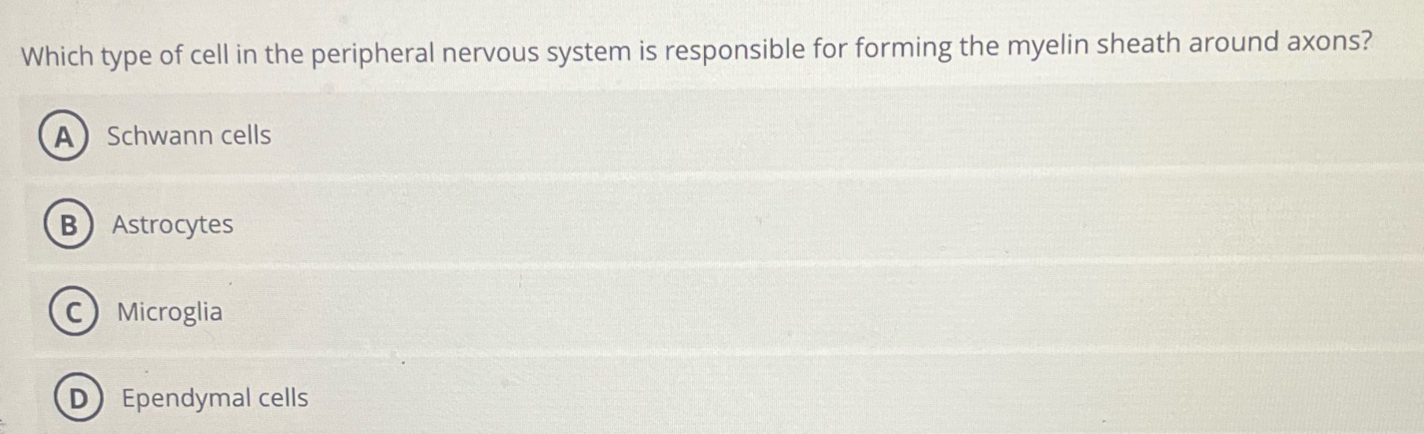 ? Which type of cell in the peripheral nervous