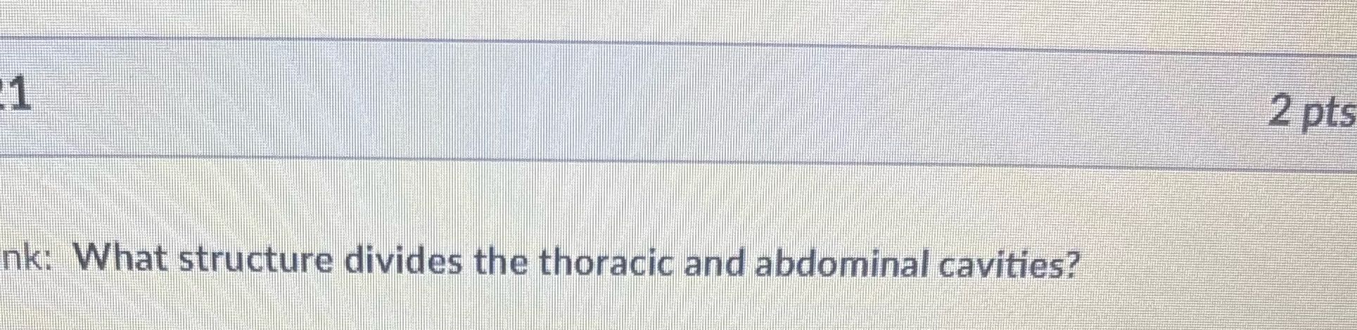 2 pts nk: What structure divides the thoracic and