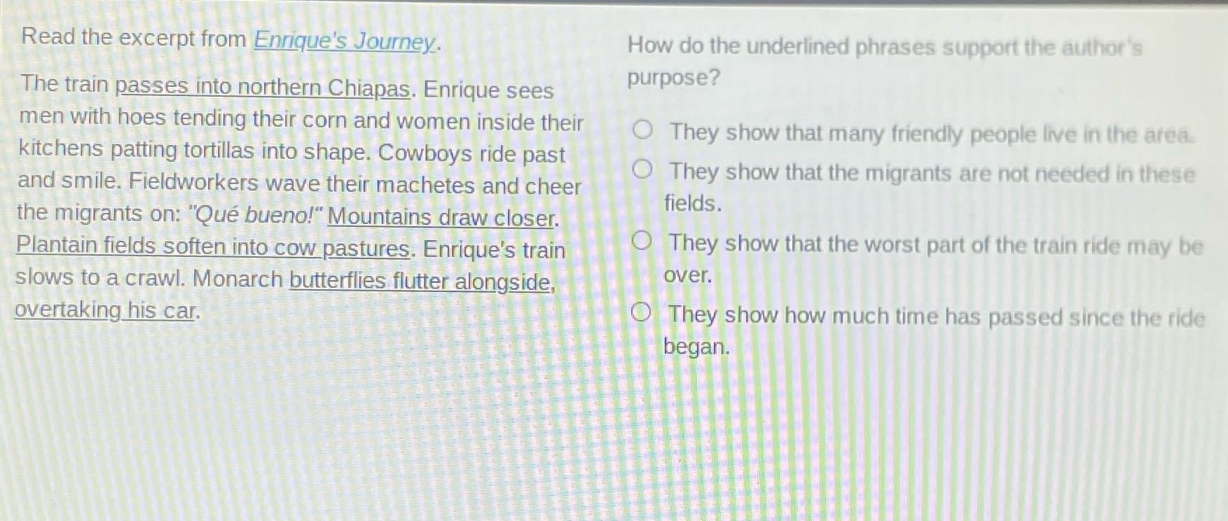 Read the excerpt from Enrique's Journey. How