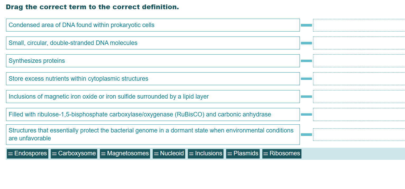 match Drag the correct term to the correct