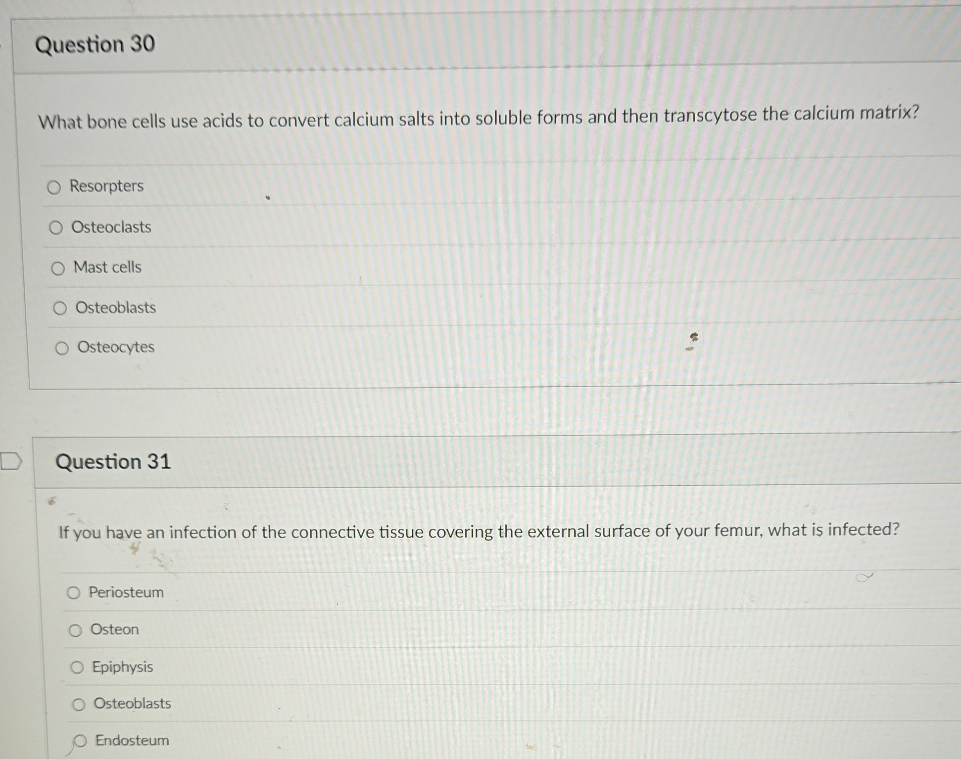 Question 30 What bone cells use acids to convert