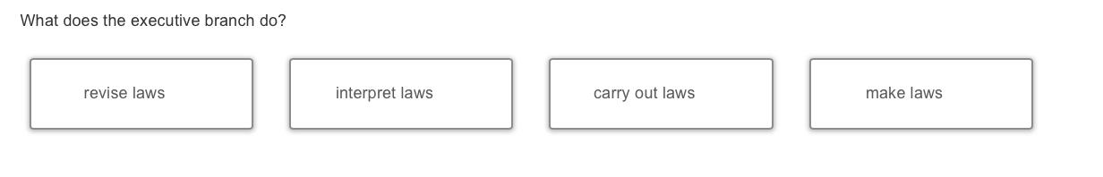 answer What does the executive branch do? revise