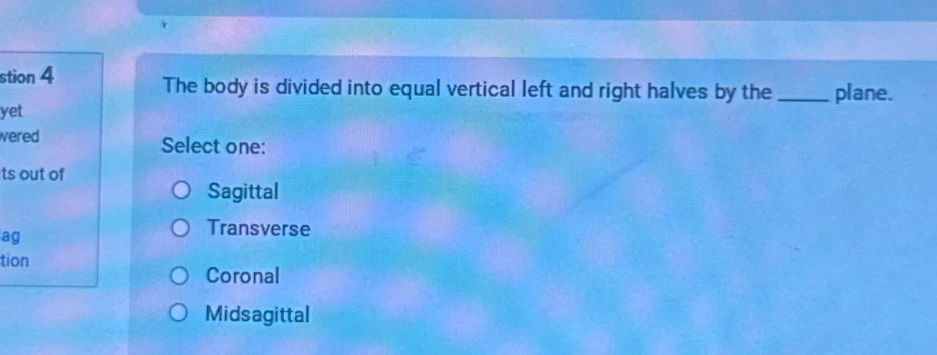 stion 4 The body is divided into equal vertical