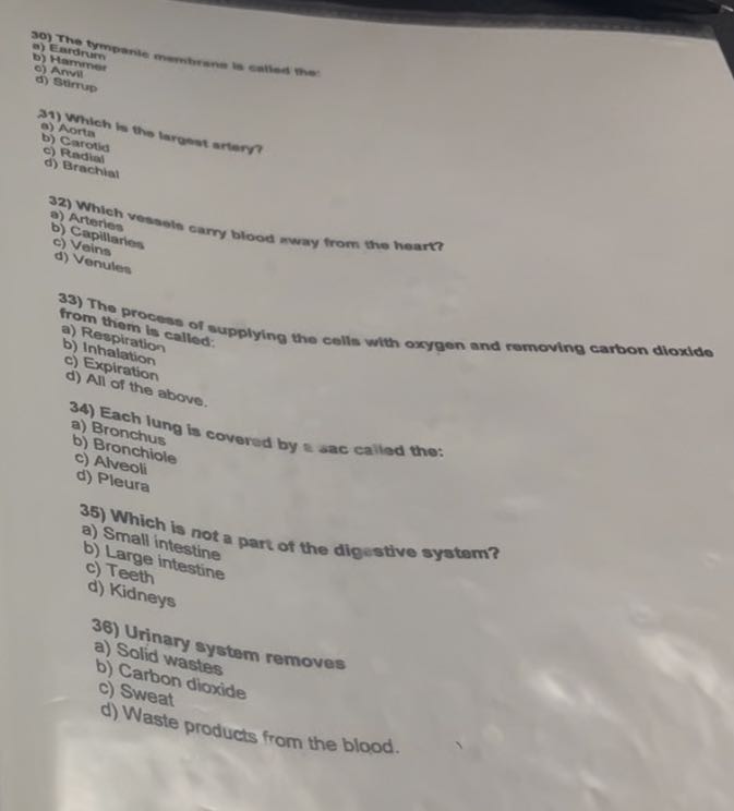 30) The tympanic membrane is called the ")