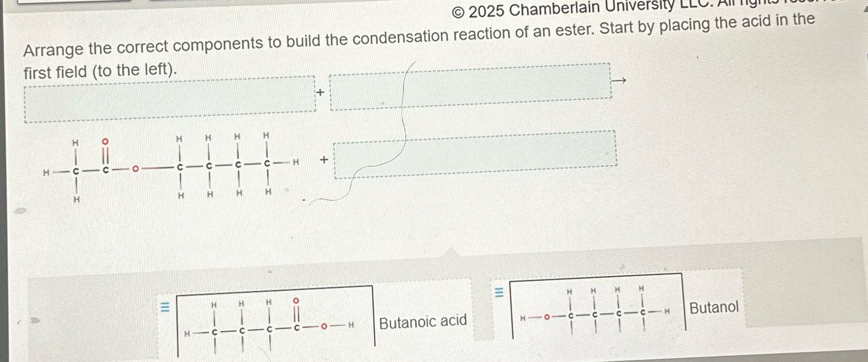2025 Chamberlain University LLC. All nig Arrange