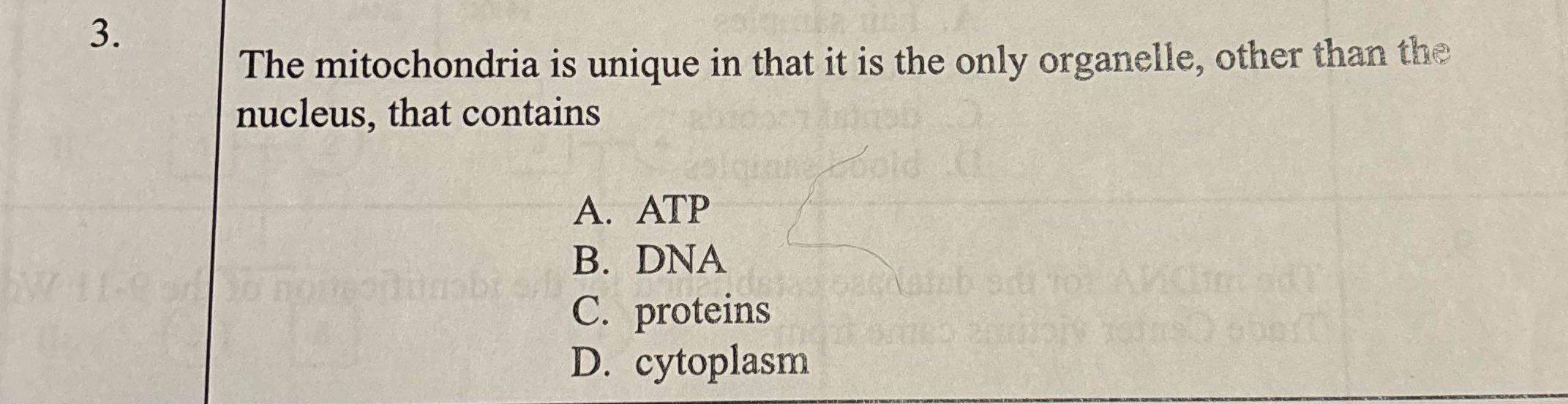 3. The mitochondria is unique in that it is the