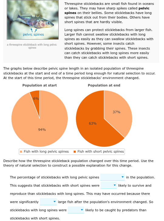 answer pelvic spines a threespine stickleback