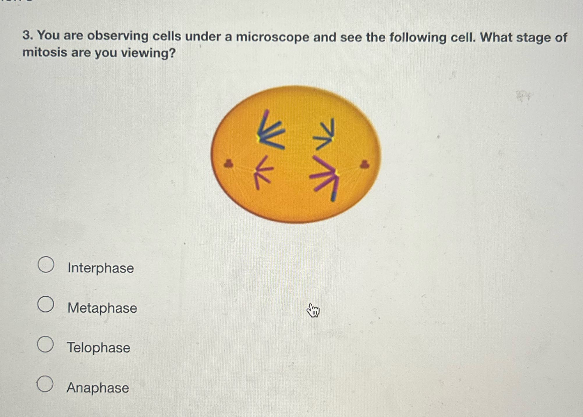 3. You are observing cells under a microscope and