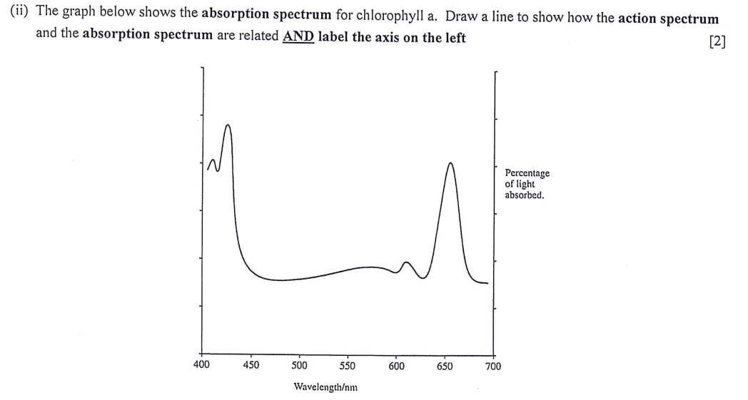 (ii) The graph below shows the absorption
