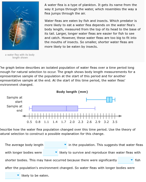 answer A water flea is a type of plankton. It