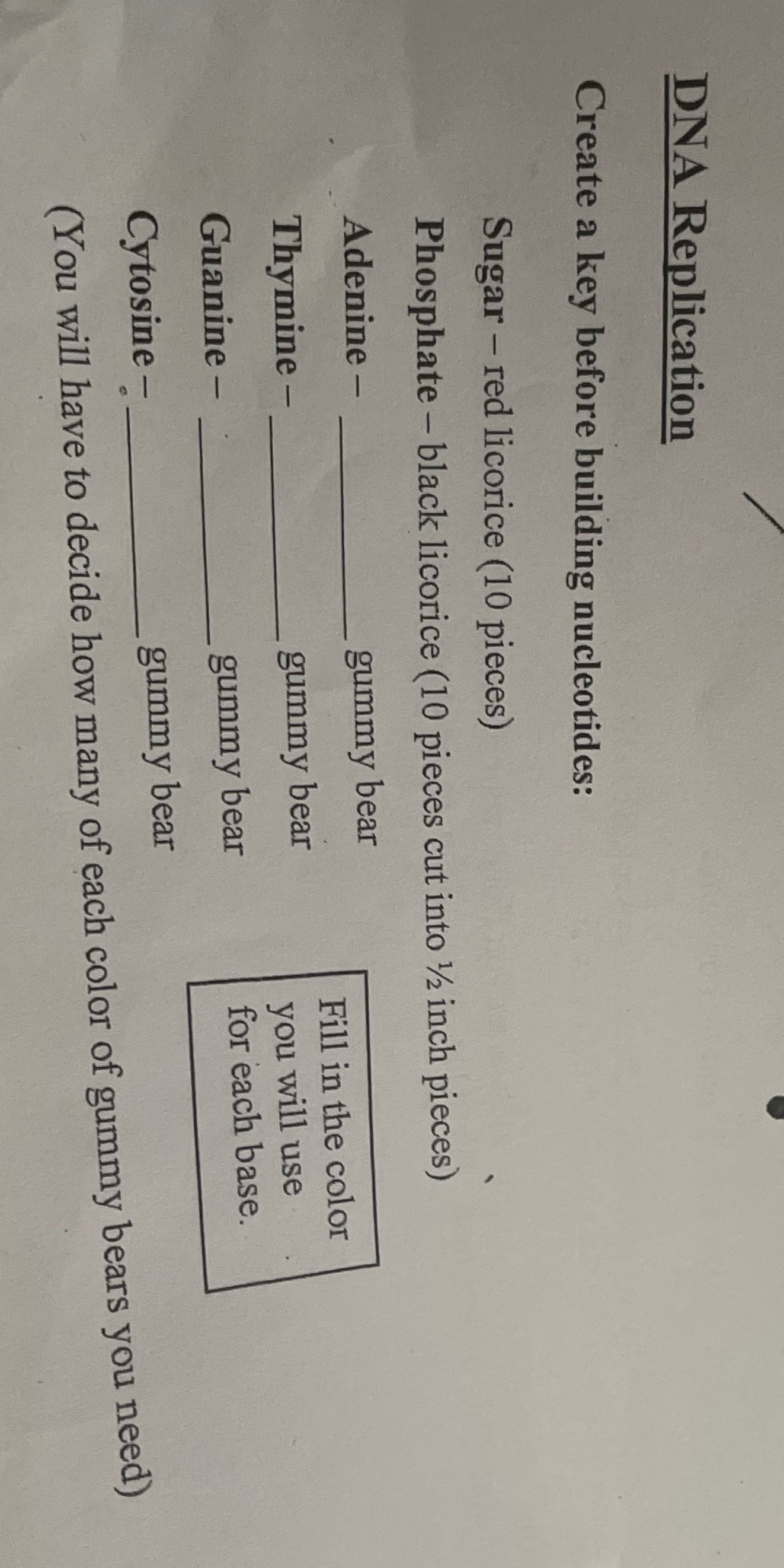 DNA Replication Create a key before building