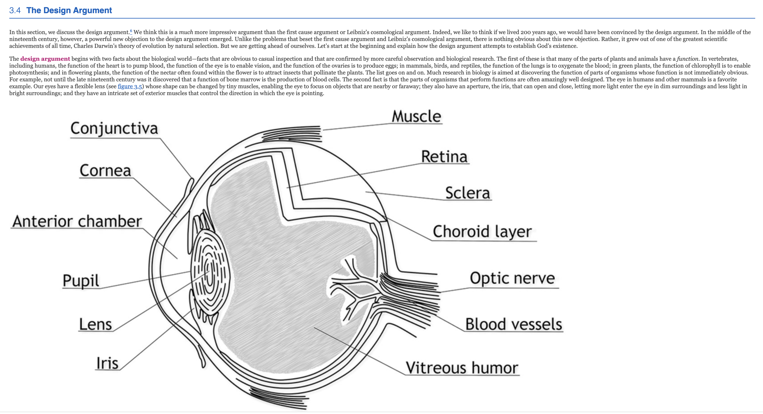 1. Briefly describe which view you found most