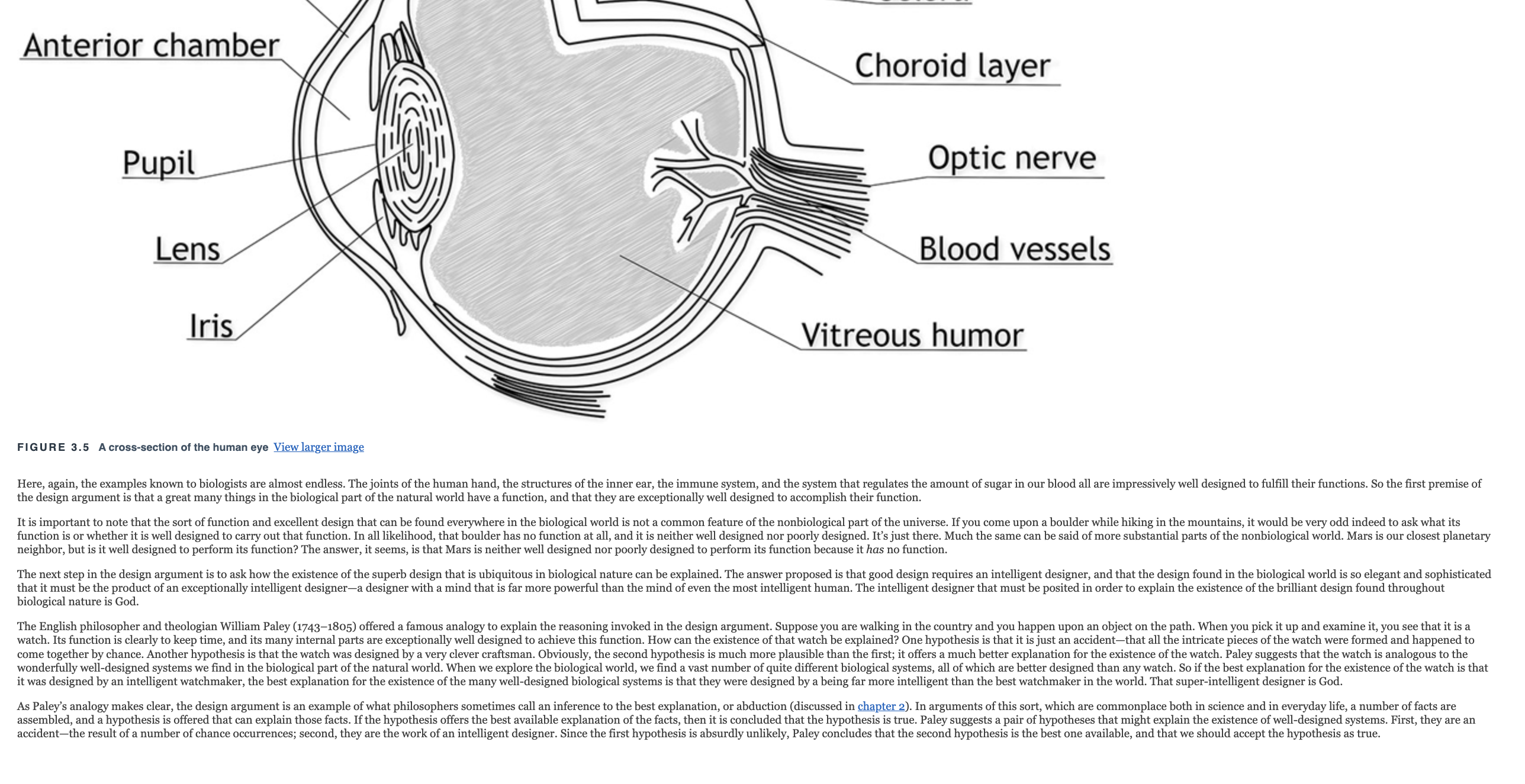 1. Briefly describe which view you found most