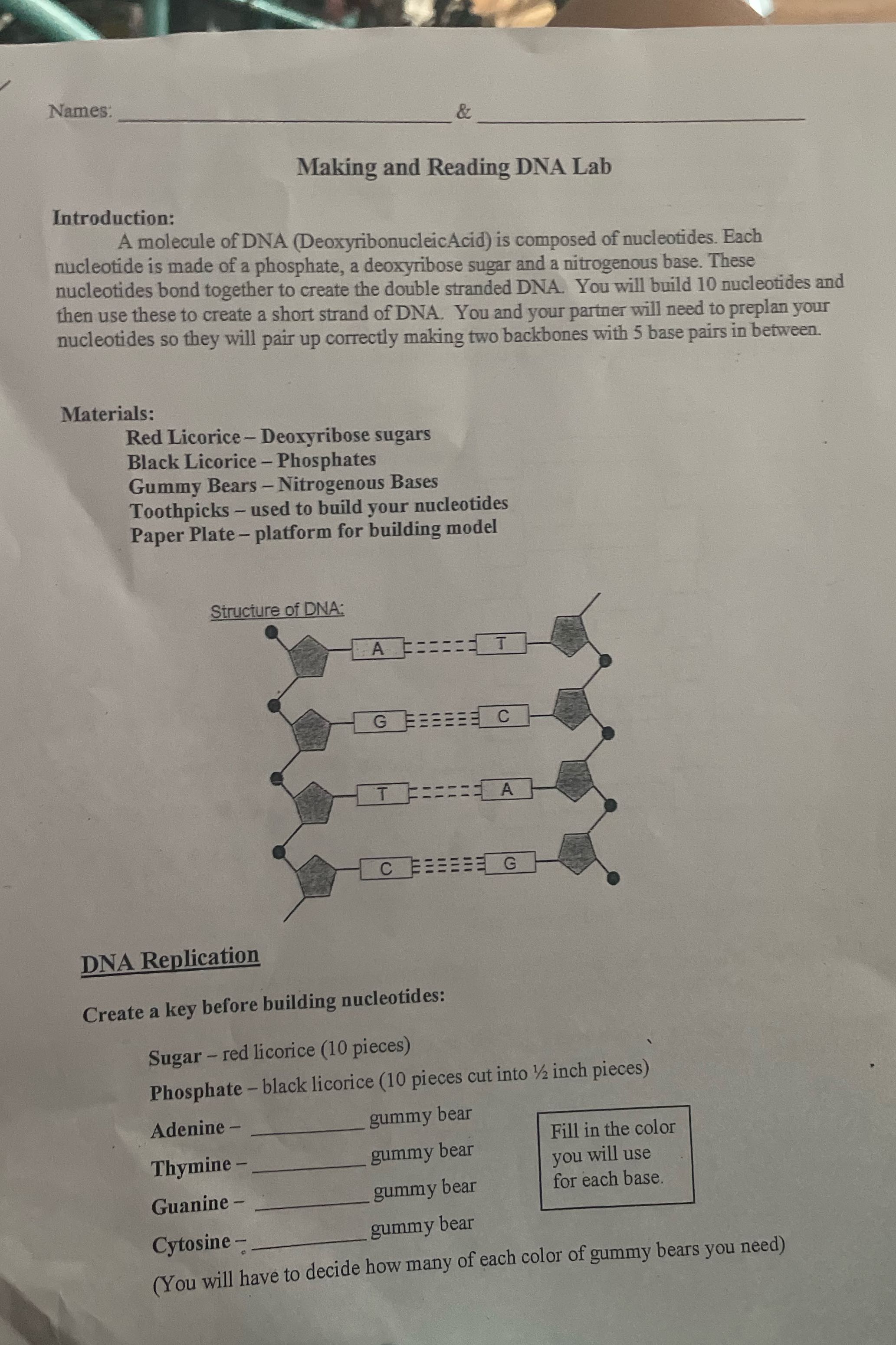 Names: & Making and Reading DNA Lab Introduction: