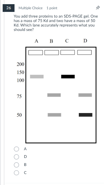 help me please 26 Multiple Choice 1 point You add