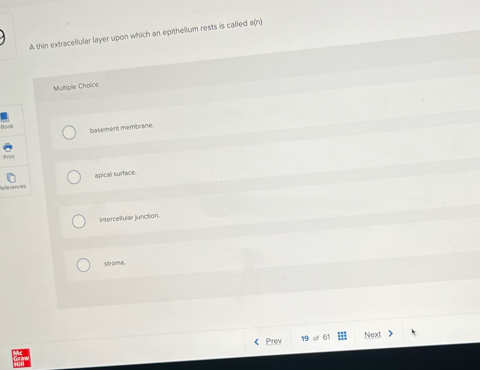 A thin extracellular layer upon which an