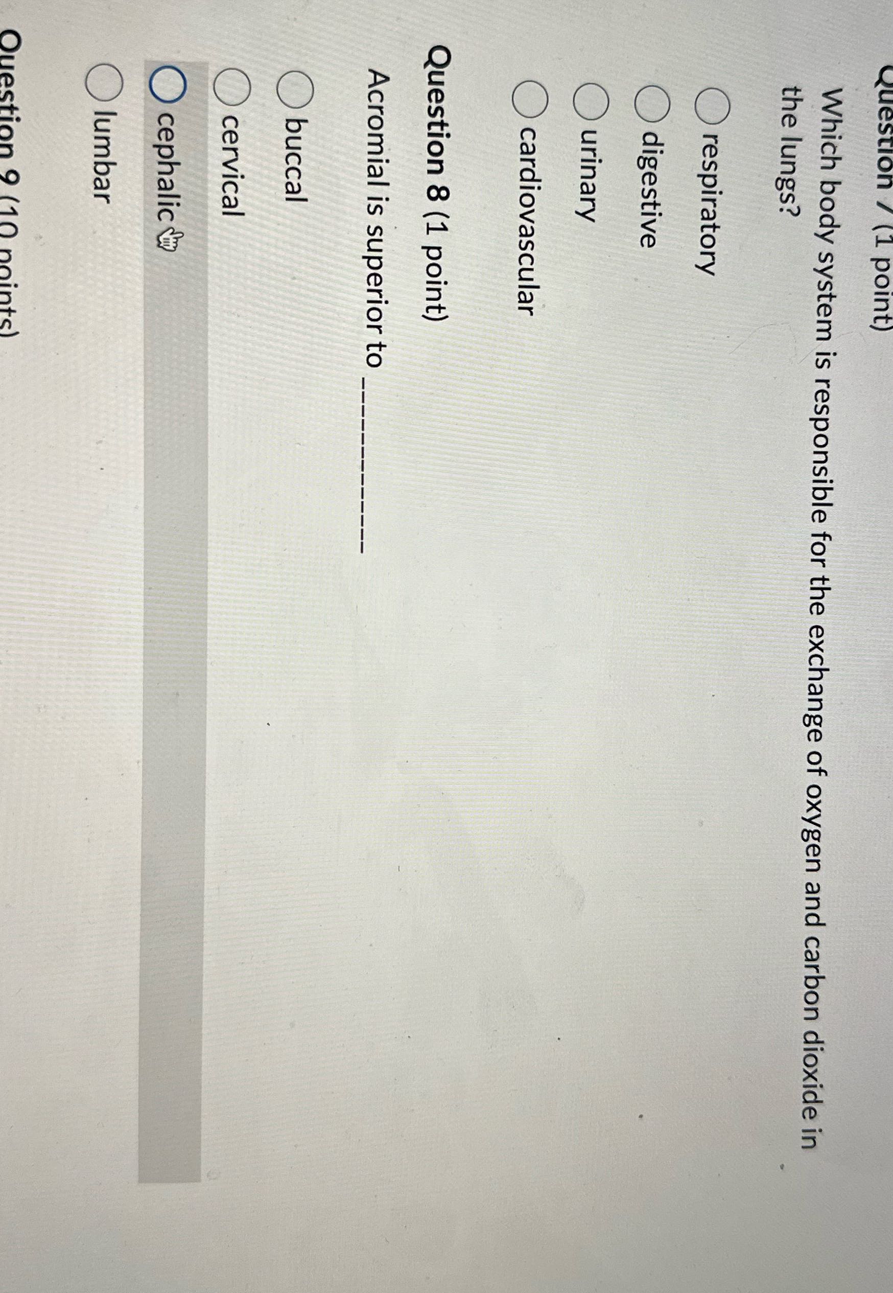 Question / (1 point) Which body system is