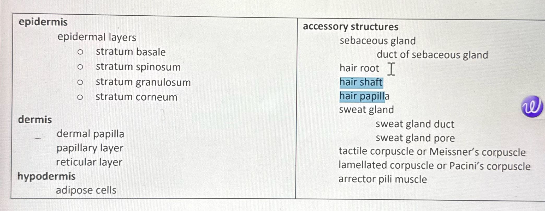 Use the list epidermis accessory structures