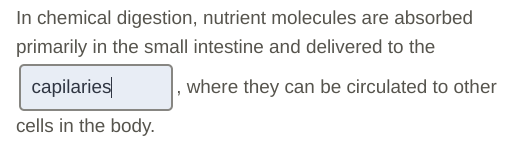 what is the blank In chemical digestion, nutrient