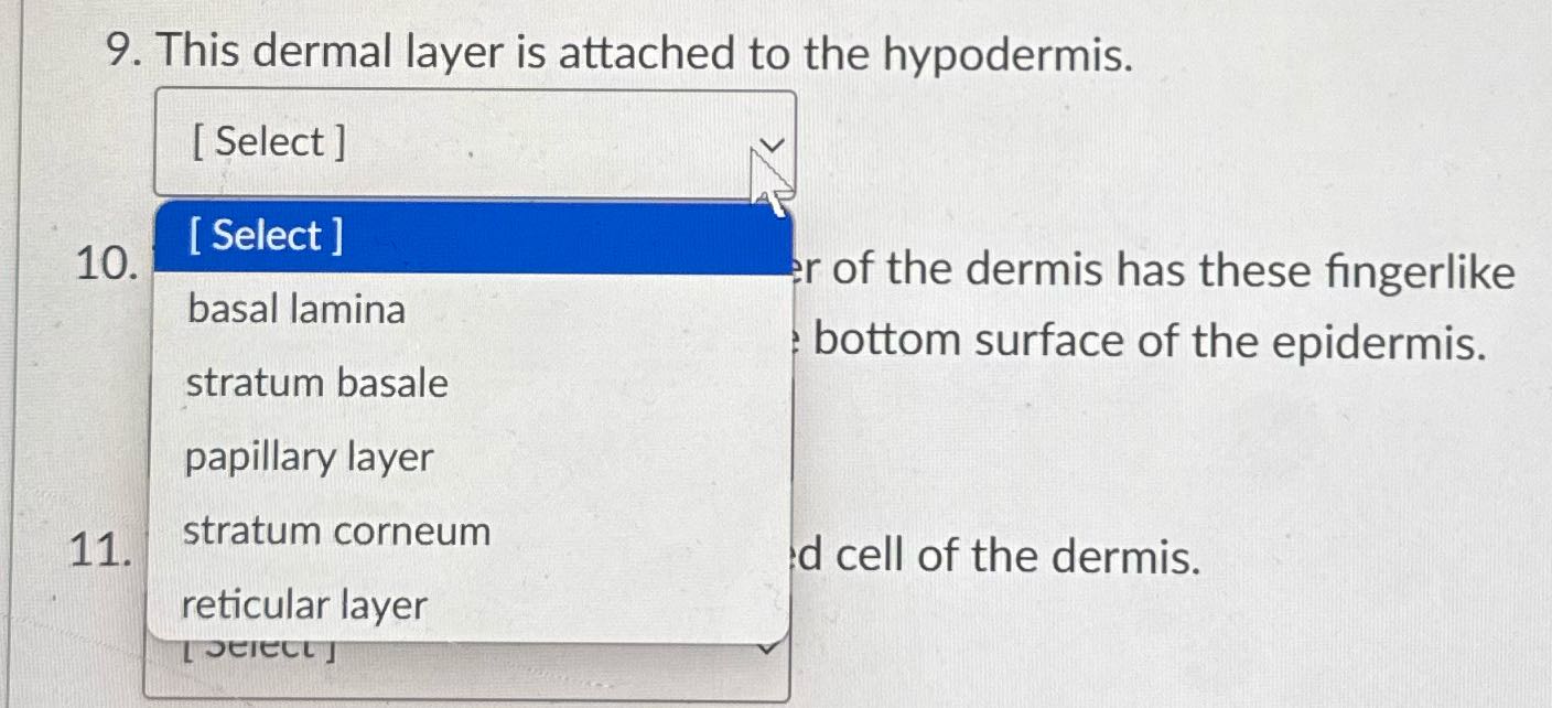 Only answer question nine 9. This dermal layer is