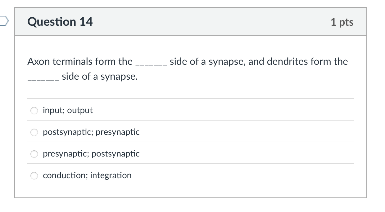 which is the correct answer? Question 14 Axon