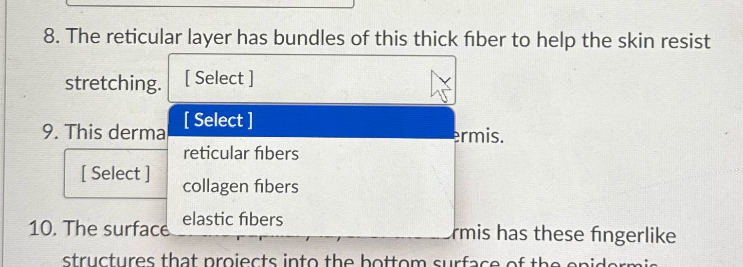Only answer question eight 8. The reticular layer
