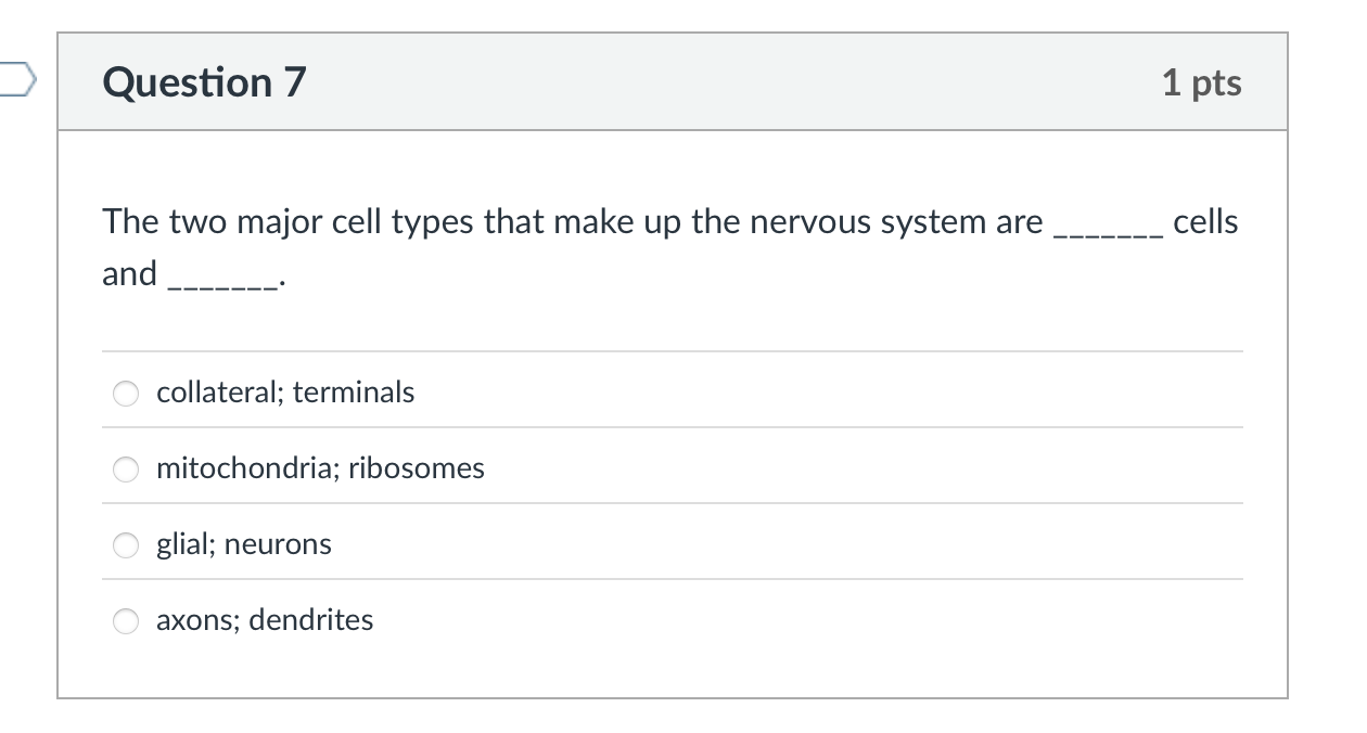 which is the correct answer? Question 7 1 pts The
