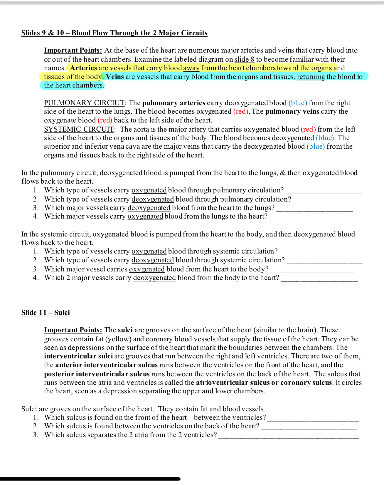 Slides 9 & 10 Blood Flow Through the 2 Major